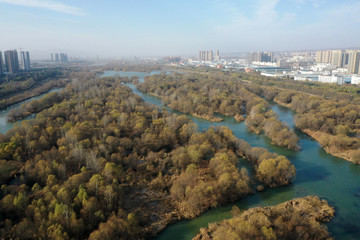 洛阳城市风光