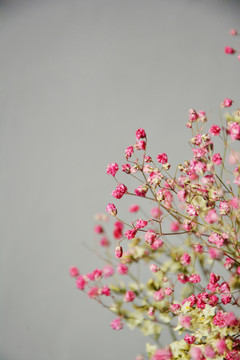 粉色小花朵