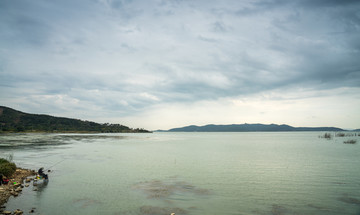 湖边湿地