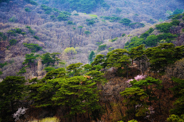 千山无量观景区沟壑山脉俯视图