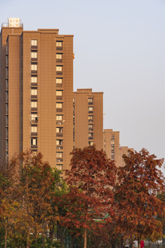 高层住宅楼