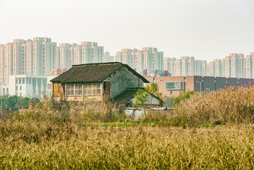 农村建设