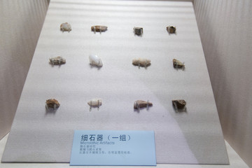 山东博物馆细石器时代细石器