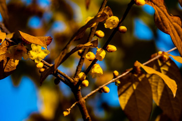 百花潭公园