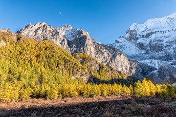 仙乃日雪山