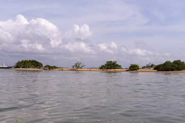 海岛红树林