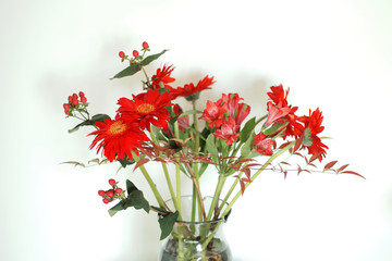 红色花卉
