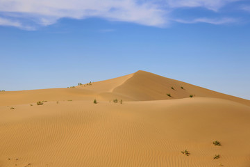 沙漠蓝天白云沙丘