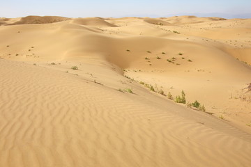 沙漠无人区沙丘起伏