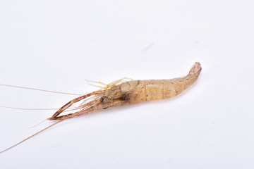 河虾