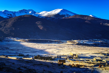 川西高原雪山牧场