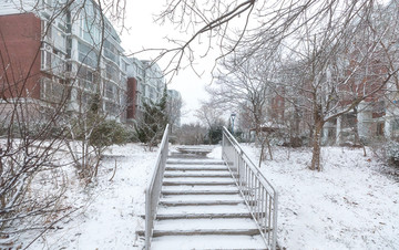 小区雪景