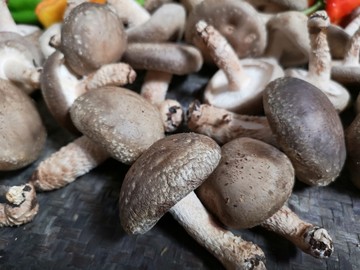 蔬菜