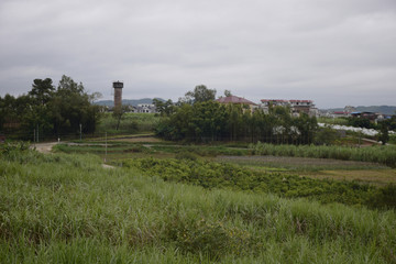 家乡风景