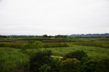 家乡风光