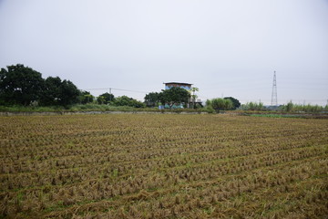 田园风光