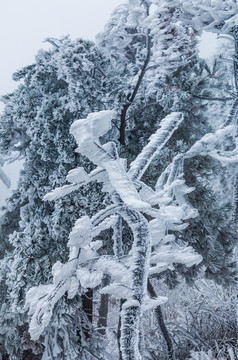 山林雪景