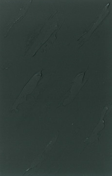 暗色硅藻泥饰面