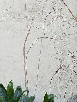 植物绘制的图画