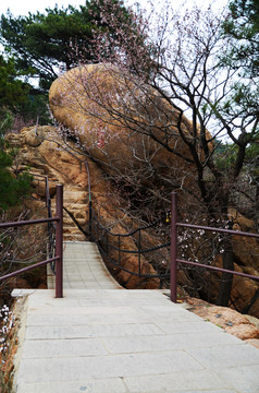 千山无量观景区上天桥与椭圆形石