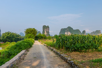 遇龙河