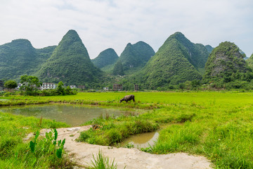 遇龙河