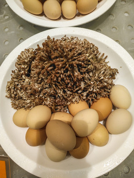 龙爪菇炒鸡蛋