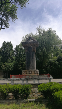 走廊和树