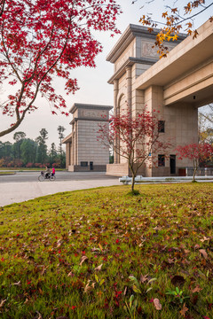 西南交通大学秋色