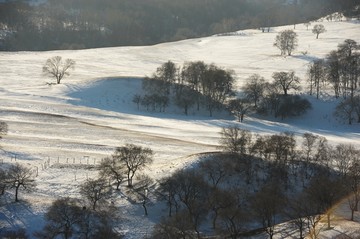 坝上雪原