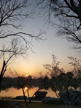 夕阳