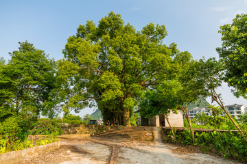 桂林山水