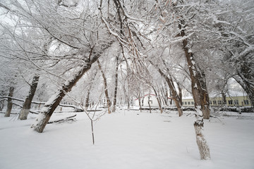 雪景