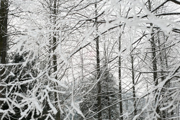 雪景插图