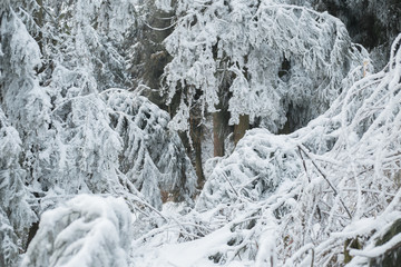 雪景插图