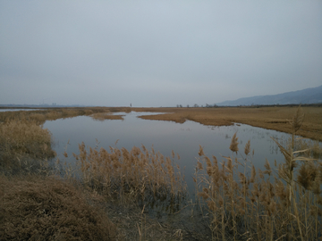 盐湖湿地