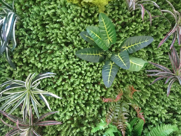 仿真绿植墙