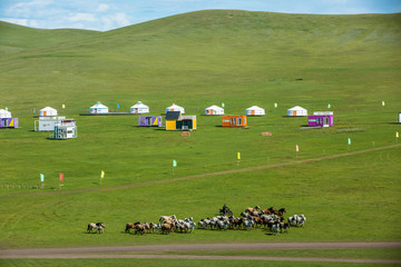 草原马群蒙古包