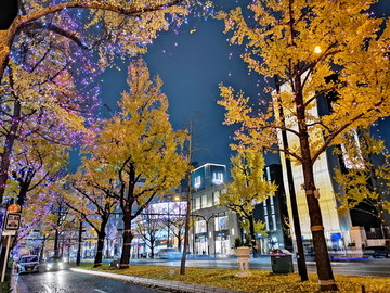 日本京都夜景