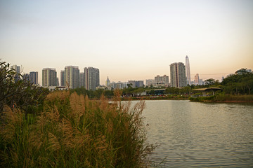 湖畔黄昏风景