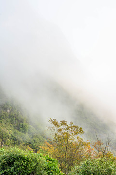 桂林杨堤风光