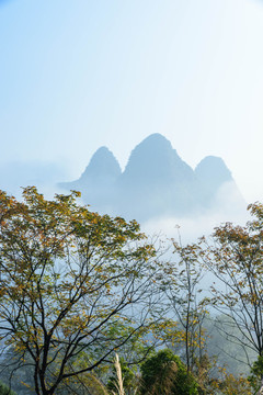 桂林杨堤风光