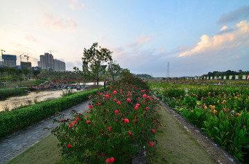 城市生态建设