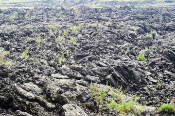 五大连池火山石