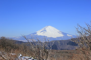 远眺日本富士山