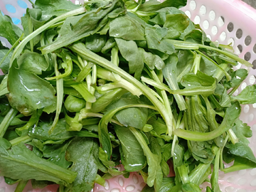 青菜菜