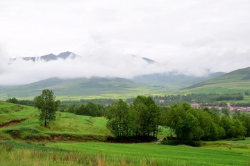 青海青藏高原风景