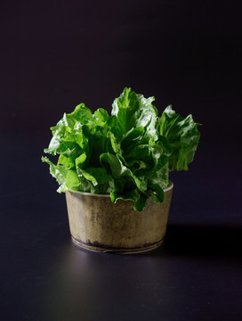 蔬菜静物摄影