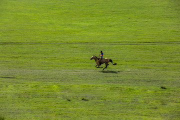 骑马奔跑的蒙古族男人
