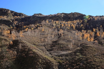 大青山